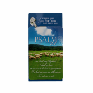 Psalm 23 Pin