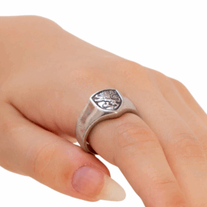 Fight like a lion- Ring for men