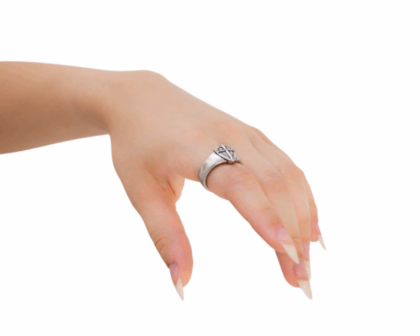 Shield of Faith- Ring for men - imagine 2