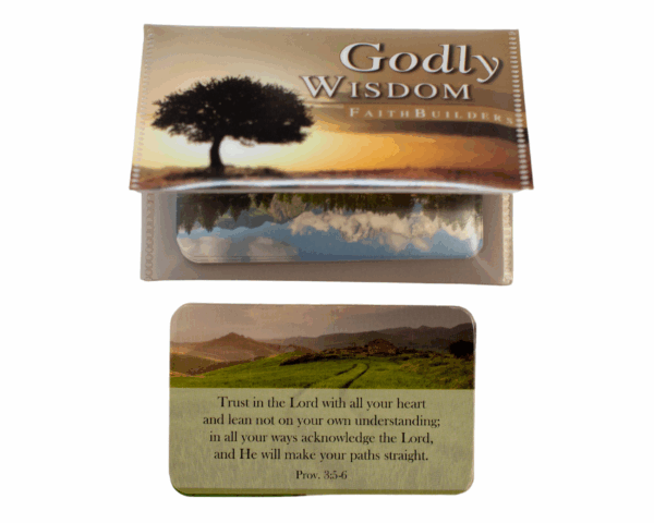 Godly wisdom - Mini cards set - imagine 2