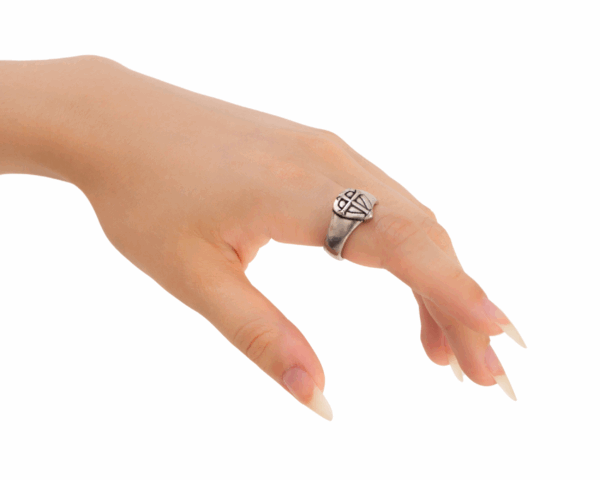 Shield of Faith- Ring for men