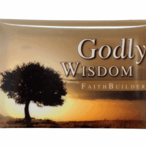Godly wisdom - Mini cards set