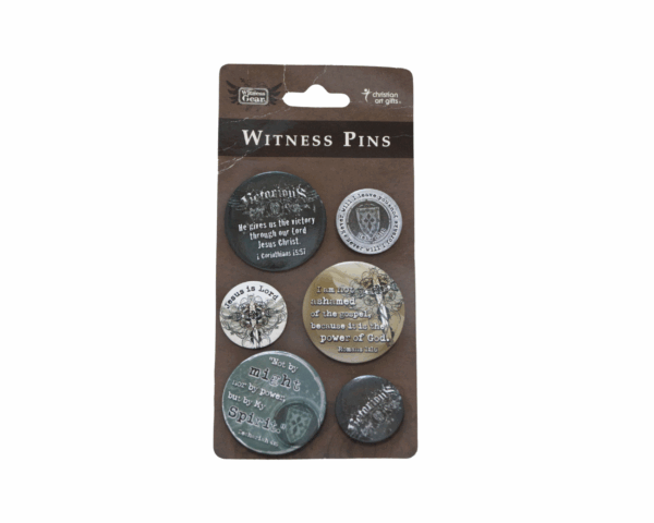 Victorious Pins Set