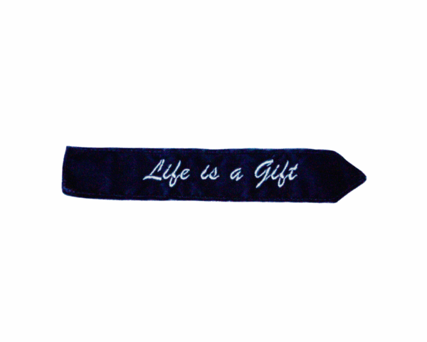 Semn de carte Albastră - Life is a Gift